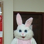 Easter Bunny